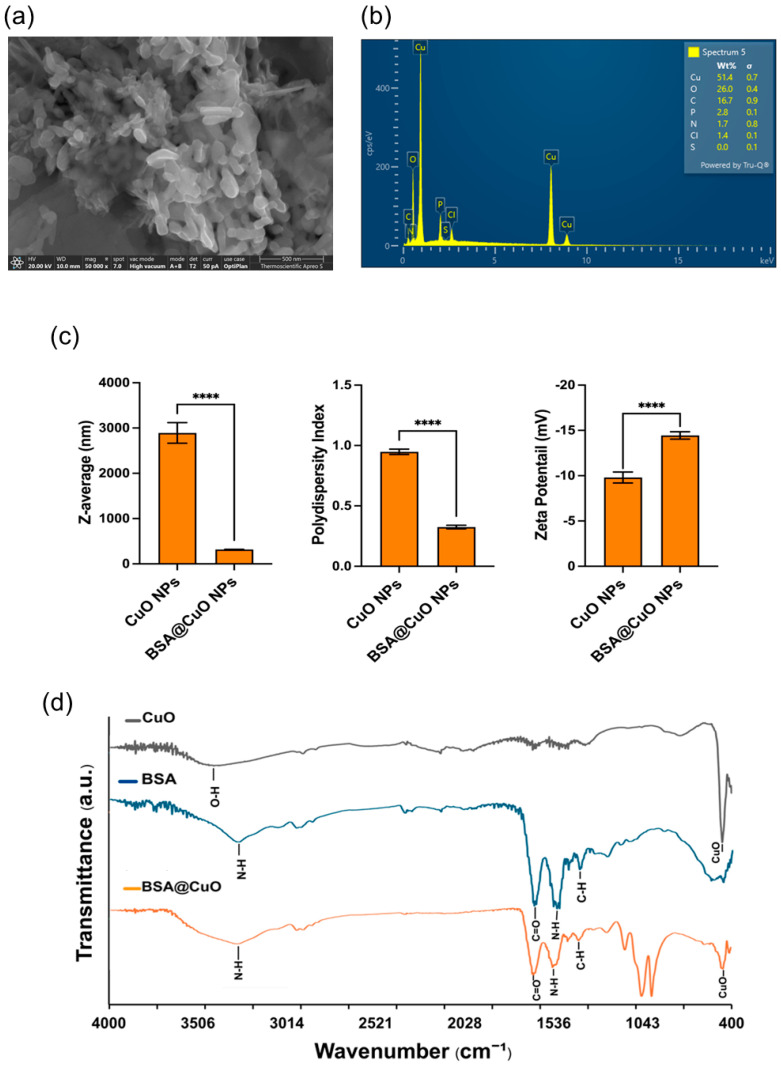 Albumin-Coated Copper Oxide Nanoparticles for Radiosensitization of Human Glioblastoma Cells Under Clinically Relevant X-Ray Irradiation.