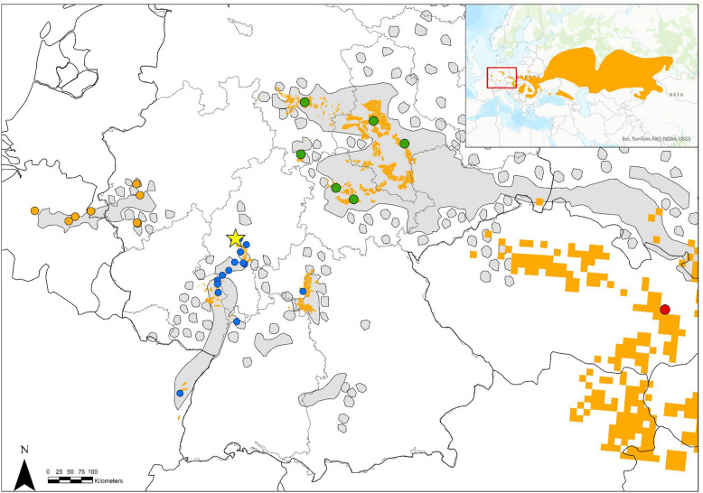 Chromosome-level genome of the European hamster (Cricetus cricetus) and its genome-wide population structure across Western Europe.