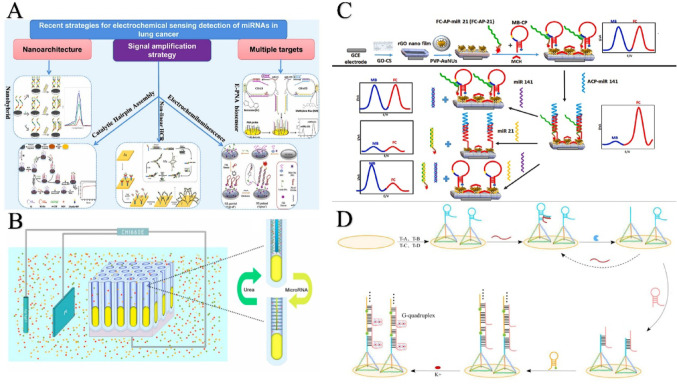 The impact of miRNAs on epithelial-mesenchymal transition in lung cancer and the latest advances in their use as diagnostic markers.