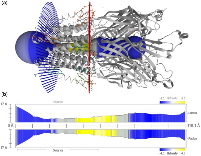MOLEonline: a web-based tool for analysing channels, tunnels, and pores (2025 update).