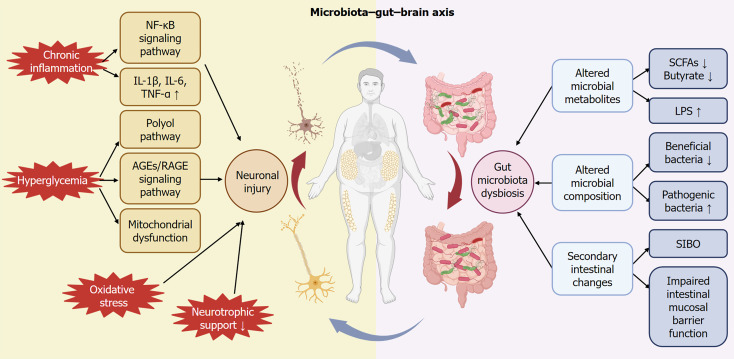 Diabetic gastrointestinal autonomic neuropathy: Integrating neuronal degeneration and gut microbial dysbiosis.