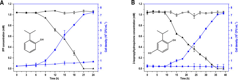Identification of a novel <i>ipp</i> gene cluster responsible for 2-isopropylphenol degradation in strain <i>Rhodococcus</i> sp. D-6.