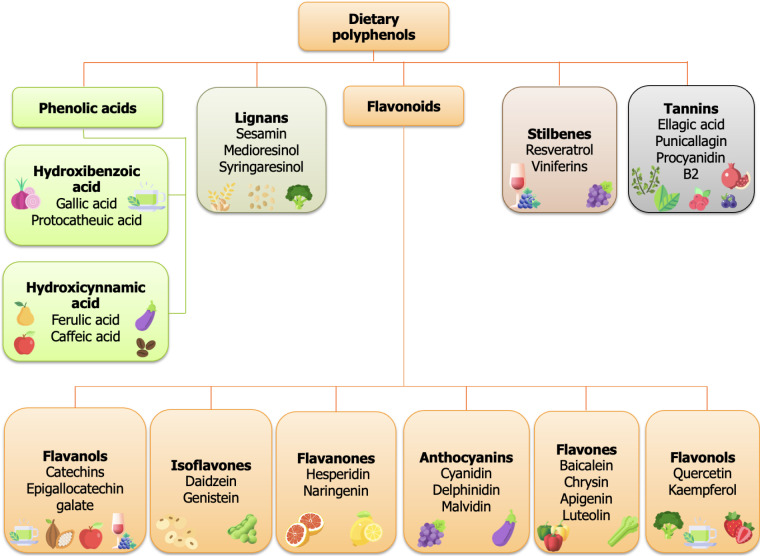 Polyphenols: A top-down approach to nutrition and depression.