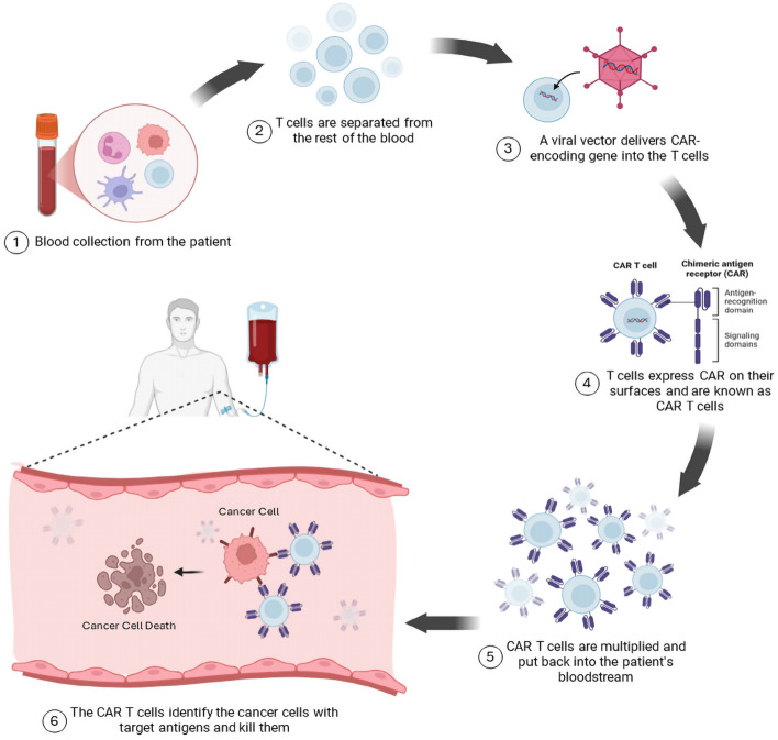 Chimeric antigen receptor T-cell (CAR T-cell) and tumor-infiltrating lymphocytes (TILs) therapies in gastrointestinal malignancies: review of literature for clinical applications.