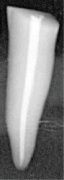 Abstract Image