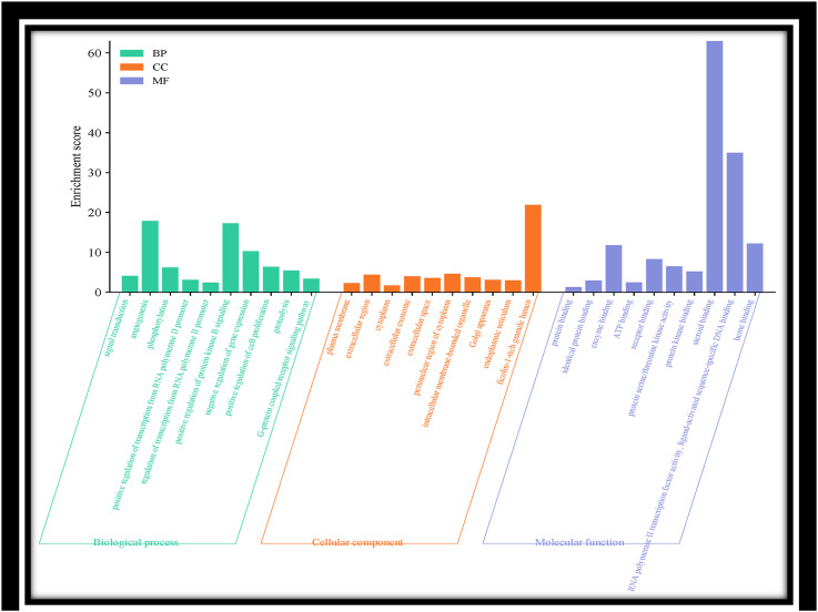 Unveiling Nephroprotective, Diuretic and Toxicity Response of <i>Pinus roxburghii</i> Sarg. Extract by <i>In-vitro, In-vivo</i> and Docking Techniques.