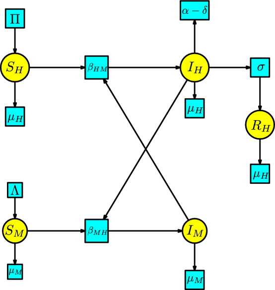 Petri nets in epidemiology.