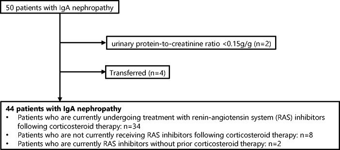 Effect of dapagliflozin on proteinuria and the slope of the estimated glomerular filtration rate in patients with immunoglobulin A nephropathy: A multicenter prospective study.