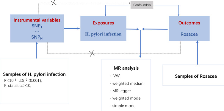 No Causal Relationship Between Helicobacter Pylori Infection and Rosacea: A 2-Sample Mendelian Randomization Study.