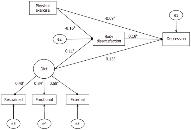 College students' depression and body image: Unraveling the Link.