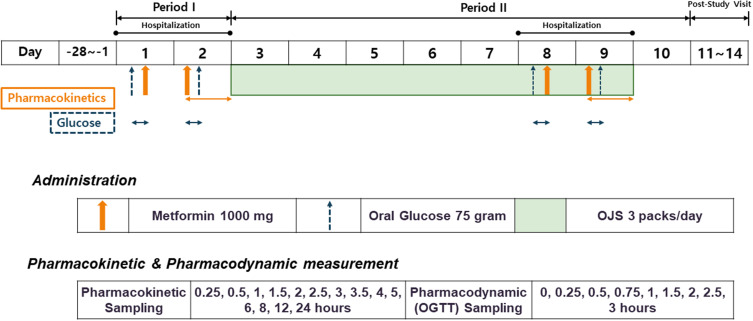 Pharmacokinetic and Pharmacodynamic Interaction of Metformin and Ojeok-san in Healthy Volunteers.