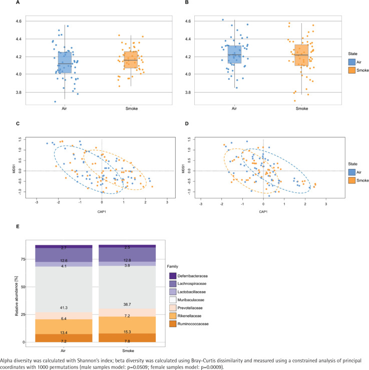 Mouse model validity for studying the impact of tobacco smoke on the human gut microbiota assessed via in silico and experimental approaches.