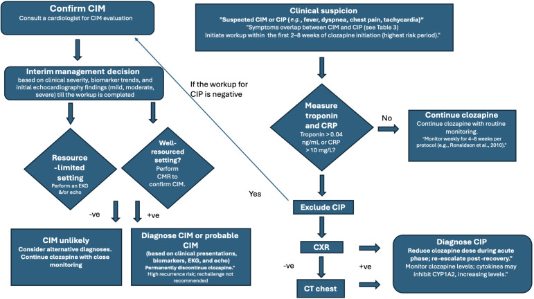 Diagnostic algorithm for clozapine-induced myocarditis: A systematic review.