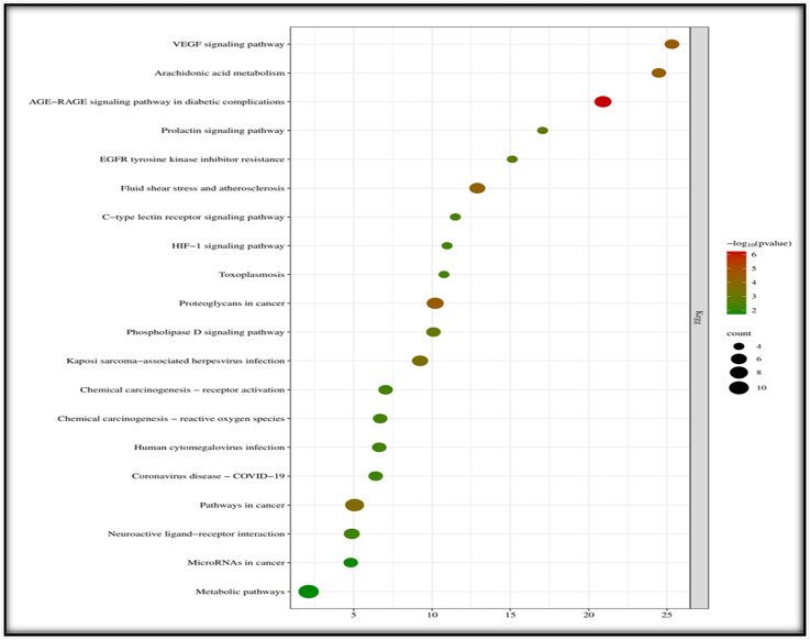 Unveiling Nephroprotective, Diuretic and Toxicity Response of <i>Pinus roxburghii</i> Sarg. Extract by <i>In-vitro, In-vivo</i> and Docking Techniques.