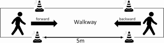 Impact of forward and backward walking on gait parameters across parkinson's disease stages and severity: a prospective observational study.