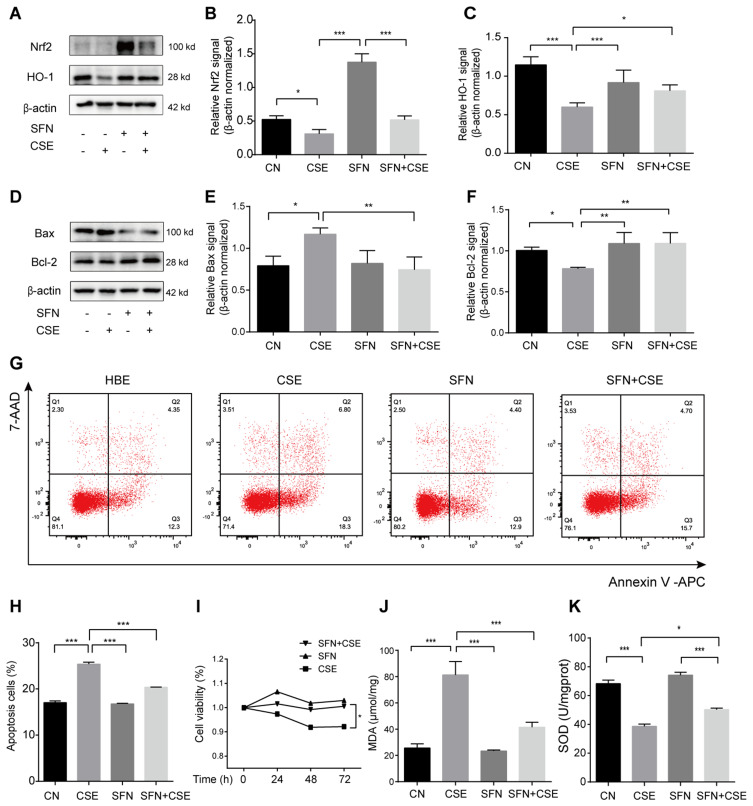 TET1 Alleviates Cigarette Smoke Induced Bronchial Epithelial Cell Apoptosis Through Upregulating Nrf2.