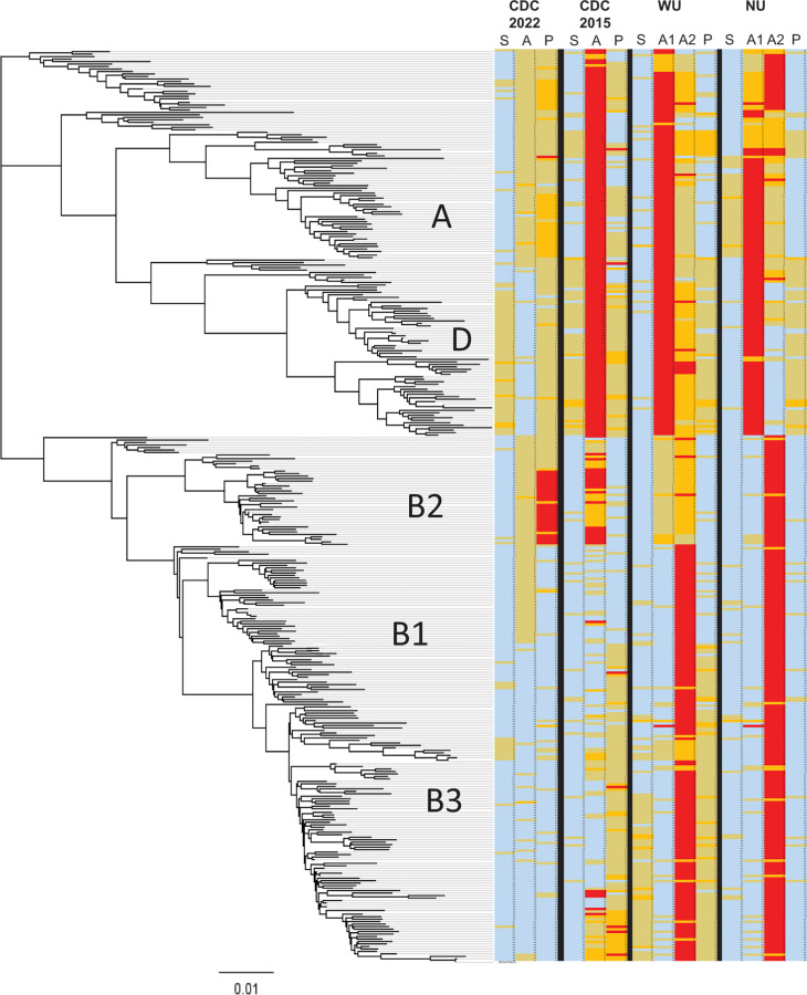 Type-specific EV-D68 real-time RT-PCR assay for the detection of all extant enterovirus D68 strains.