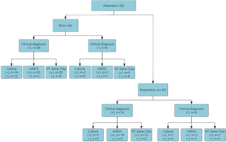 Evaluation of High-Throughput Gene Chip Array for Enhanced Diagnosis of Bone and Joint Infections: A Comparative Analysis with mNGS and Conventional Culture Methods.