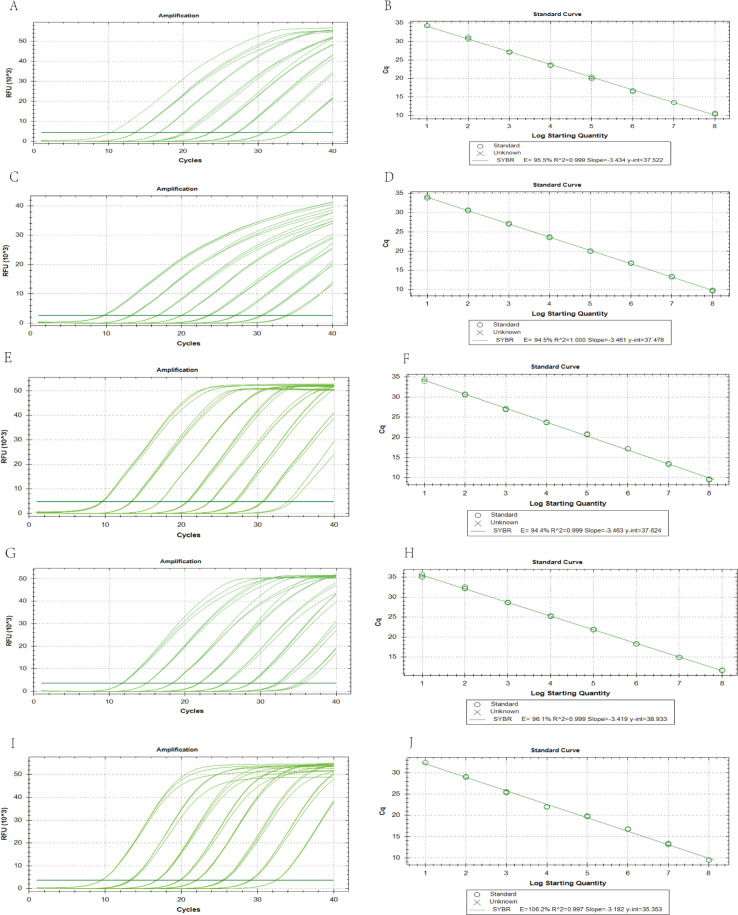 Simultaneous detection of five shrimp pathogens using a single-tube EvaGreen real-time PCR assay with differential melting temperature.