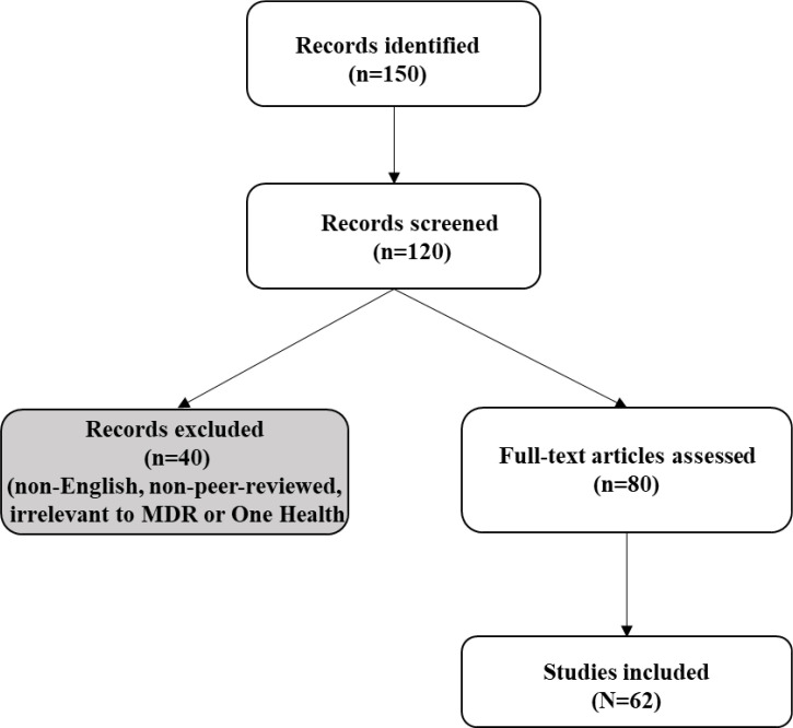 A one health perspective on multidrug-resistant bacterial infections: integrated approaches for surveillance, policy and innovation.
