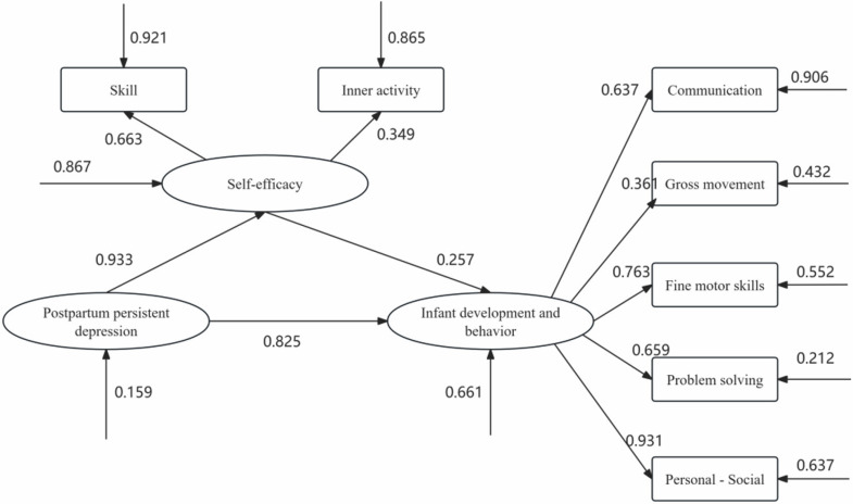 Impact of postpartum persistent depression on infant developmental behavior and maternal self-efficacy.