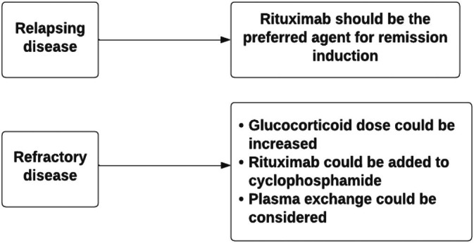 CARI Guidelines Commentary on the KDIGO Clinical Practice Guideline for the Management of Glomerular Diseases.