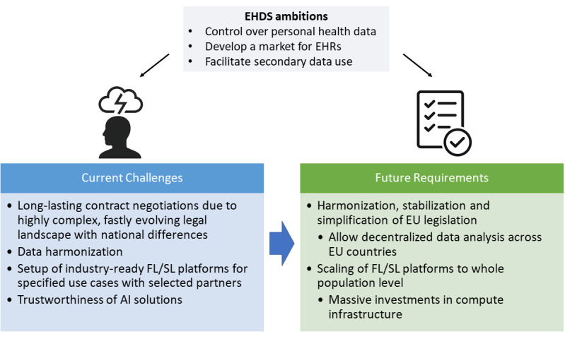Reality Check: The Aspirations of the European Health Data Space Amidst Challenges in Decentralized Data Analysis.