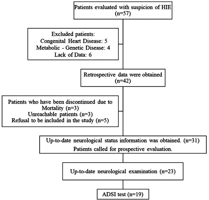 Challenging Mild Hypoxic-Ischemic Encephalopathy: Insights Into Neurological Outcomes.