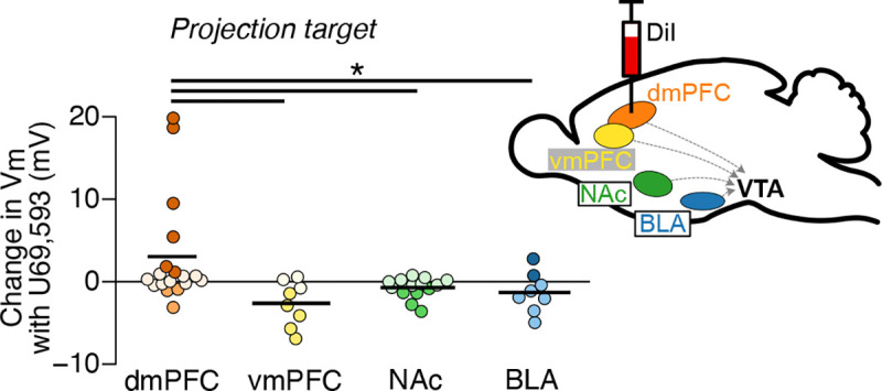 A switch in kappa opioid receptor signaling from inhibitory to excitatory induced by stress in a subset of cortically-projecting dopamine neurons.