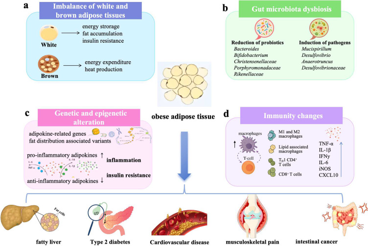 Obesity and Its Comorbidities: Current Treatment Options, Emerging Biological Mechanisms, Future Perspectives and Challenges.