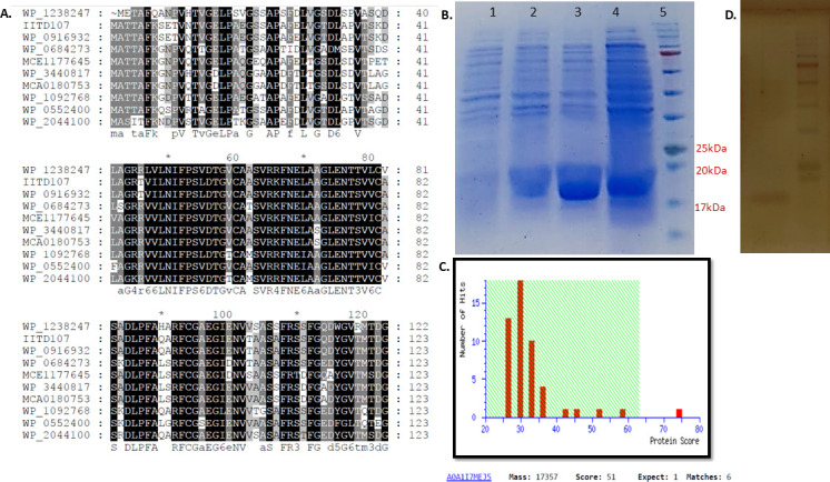 Asphaltene biotransformation by a novel enzyme thiol peroxidase from <i>Micrococcus</i> sp. IITD107.