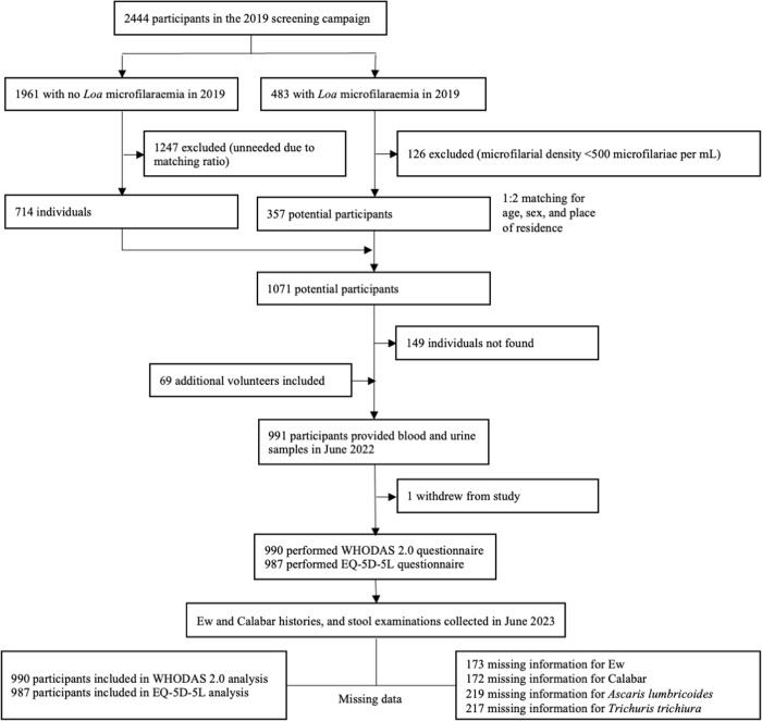 Disability and quality of life assessment using WHODAS-12 items 2.0 and EQ-5D-5L in a rural area endemic for loiasis in the Republic of Congo: A population-based cross-sectional study (the MorLo project).