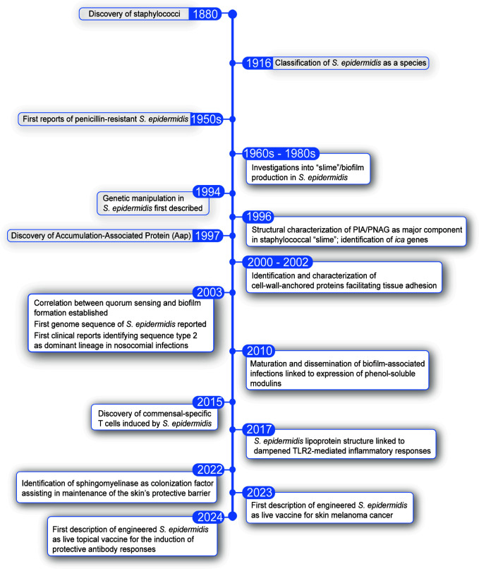 <i>Staphylococcus epidermidis</i>-key to understanding biofilms, commensalism, and more.