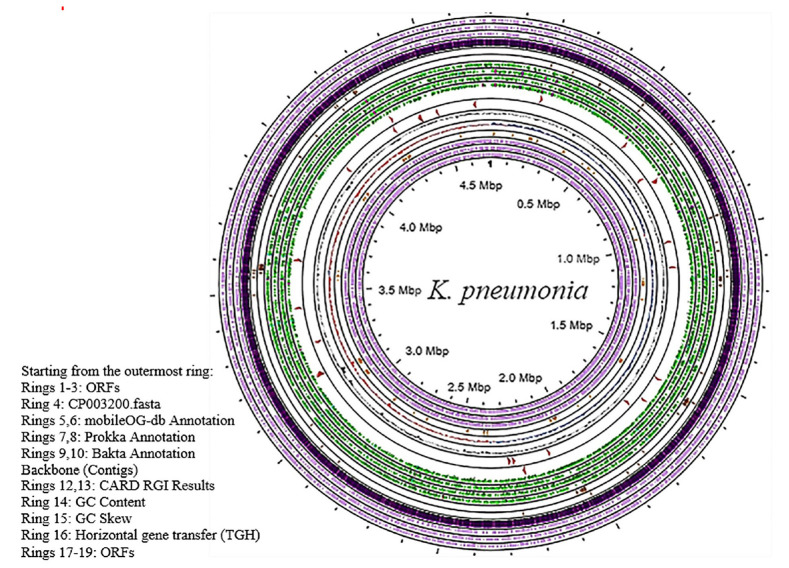 Comprehensive Genomic Characterization of a Drug-Resistant <i>Klebsiella pneumoniae</i> Clinical Isolate in Iraq Using Whole Genome Sequencing.