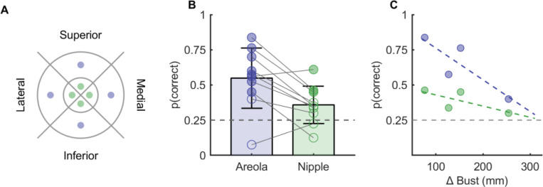 The coarse mental map of the breast is anchored on the nipple.