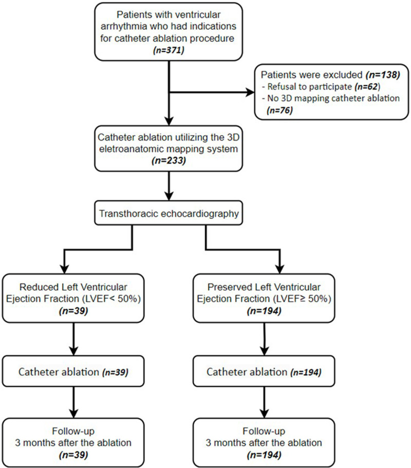 Effectiveness and Safety of Radiofrequency Catheter Ablation Using Three-Dimensional Electroanatomic Mapping Systems in Treating Ventricular Arrhythmias: A Single-Center Prospective Cohort Study in Vietnam.