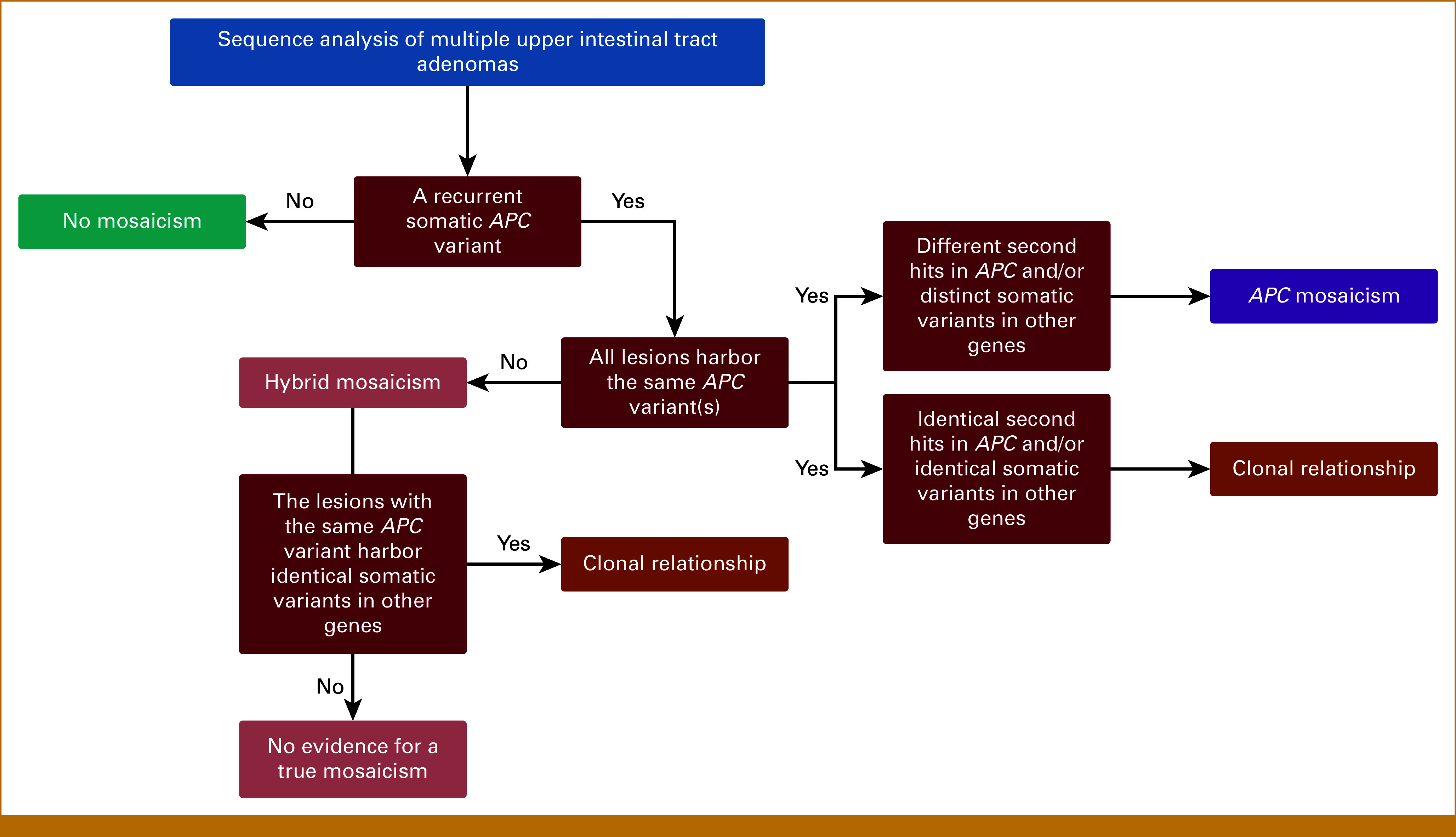 Exploring <i>APC</i> Mosaicism in Upper Intestinal Tract Adenomas.