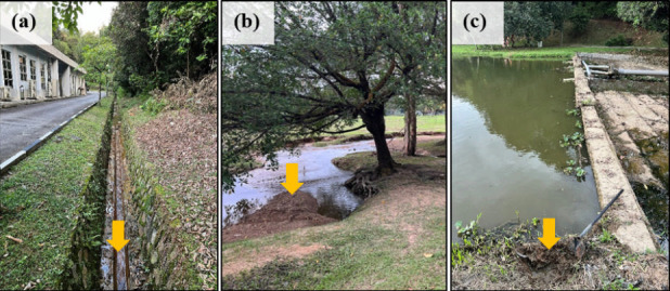 Preconditioned microbial communities in electrochemical sensing: initial assessment of detection capabilities and durability.