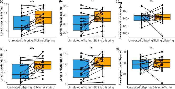 Kinship as a double-edged sword: relatedness among burying beetle larvae enhances growth but increases mortality.