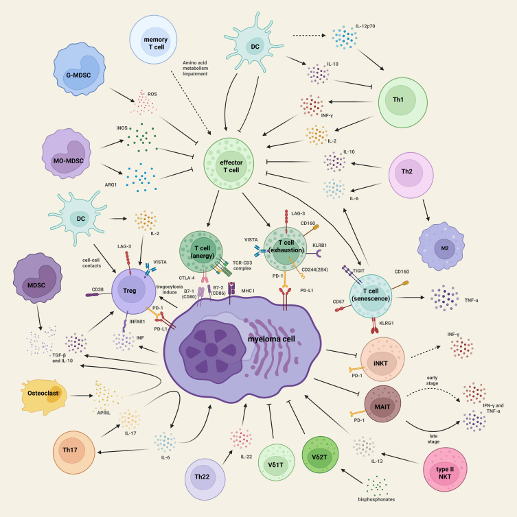 T Cells Dysfunction in Multiple Myeloma.