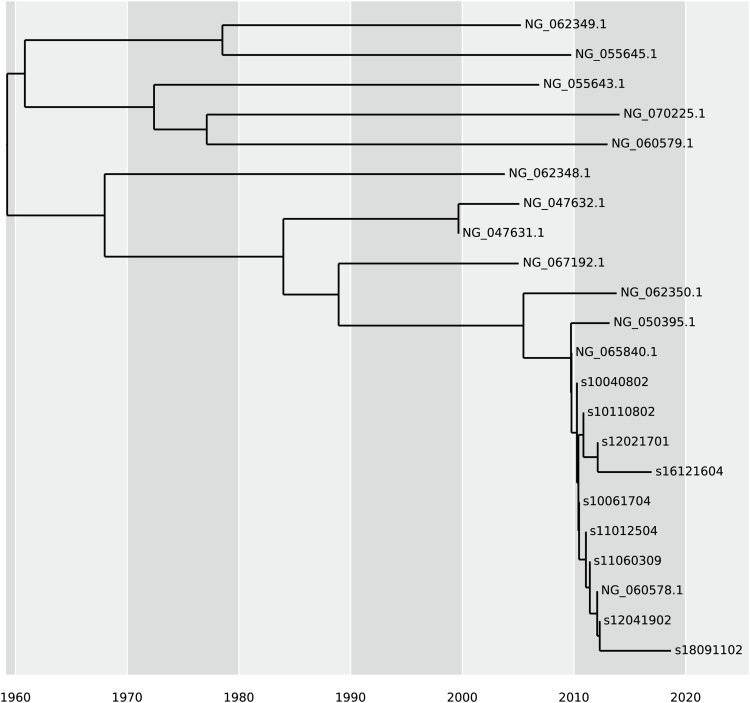 Characterization of High-Linezolid-MIC <i>Clostridioides difficile</i> Isolated from a Chinese Hospital: First Genomic Evidence of <i>Cfr</i>(B) Transmission and Tn<i>6218</i> Association.