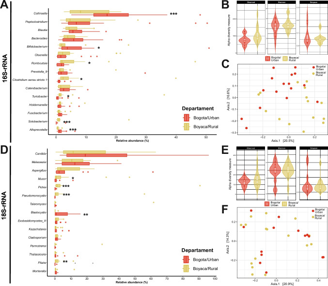 Exploring bacterial and eukaryotic communities in the gut microbiota of urban and rural cats (Felis catus) in Colombia.