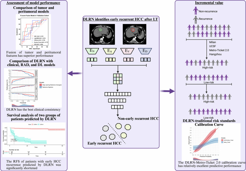 Augmenting conventional criteria: a CT-based deep learning radiomics nomogram for early recurrence risk stratification in hepatocellular carcinoma after liver transplantation.