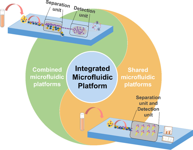 Integrated microfluidic platforms for extracellular vesicles: Separation, detection, and clinical translation.