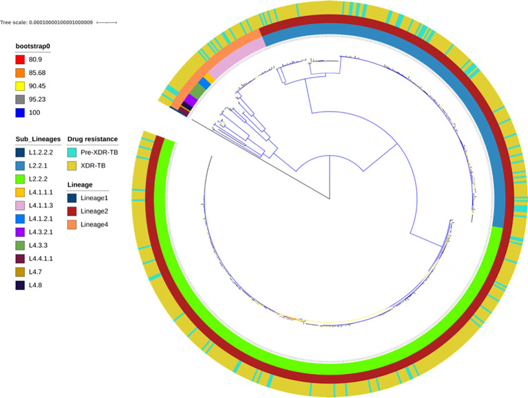 Population structure and emergence of resistance to new and repurposed drugs in XDR-TB: insights from a 10-year genomic study in the Western Cape, South Africa review.