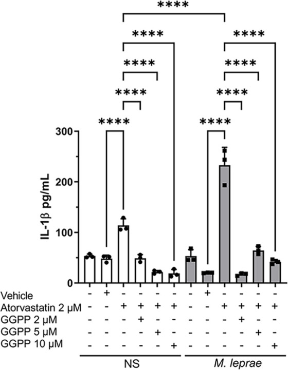 Impact of protein prenylation inhibition on <i>Mycobacterium leprae</i> viability and IL-1β production in infected macrophages.