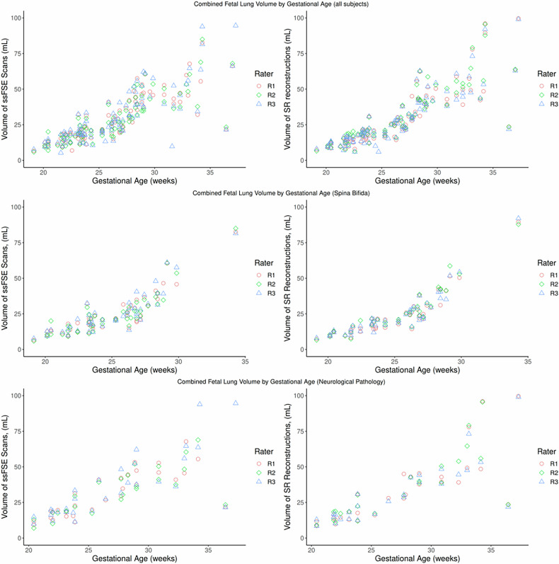 Lung volume segmentation in fetal MRI: super-resolution reconstructions improve inter-rater reliability.