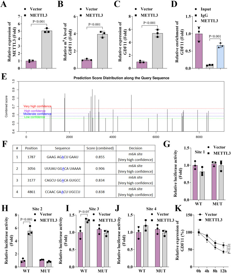 METTL3-Mediated m<sup>6</sup>A Regulation of GDF11 Promotes Socket Healing in Diabetic Rats.