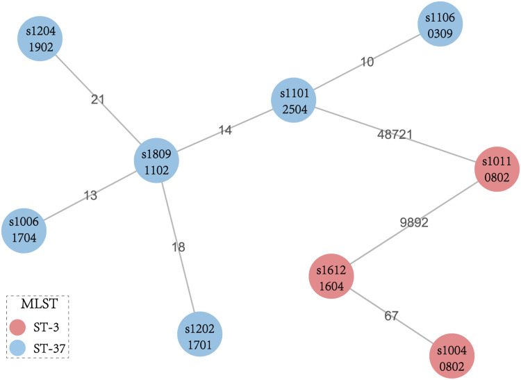 Characterization of High-Linezolid-MIC <i>Clostridioides difficile</i> Isolated from a Chinese Hospital: First Genomic Evidence of <i>Cfr</i>(B) Transmission and Tn<i>6218</i> Association.
