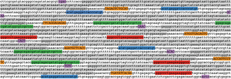Real-Time Imaging of Specific Genomic Loci With CRISPR/dCas9 in Human Cells Using CRISPRainbow.